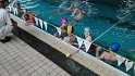 IMG_20160504_091928 IMG_20160504_091928